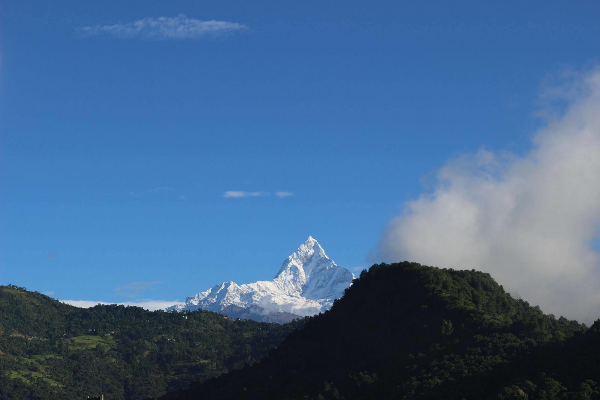 Hotel Buttercup Pokhara Exterior photo