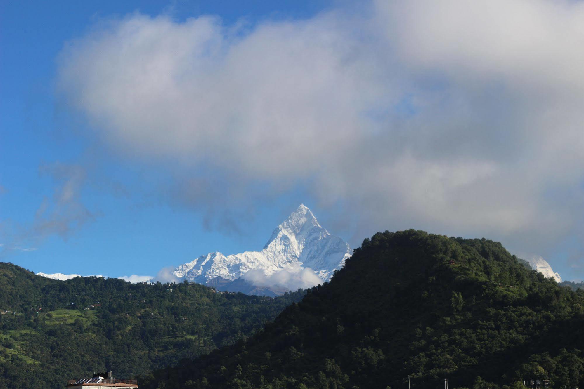 Hotel Buttercup Pokhara Exterior photo