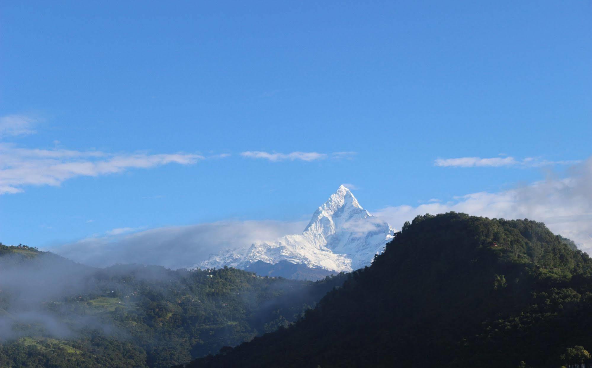 Hotel Buttercup Pokhara Exterior photo